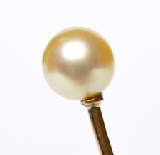 Aparte Krawattennadel