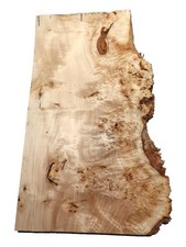 1x Pappel Maser Holz