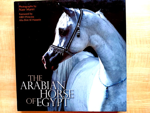 Pferde araber ägyptens - araber,