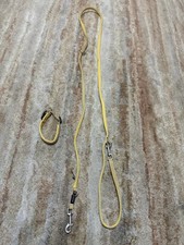 Wolters Hundehalsband & Hundeleine 