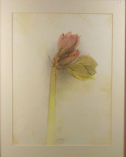 Bruno Bruni nummeriert