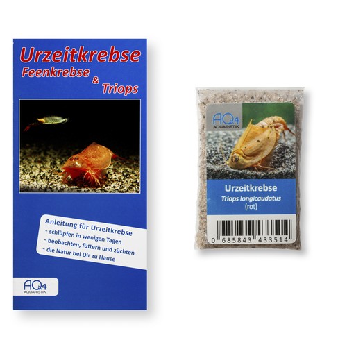 Triops longicaudatus ca - triops,
