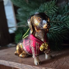 Dackel Teckel Hund Rot