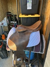 17” Passier Hannover CC