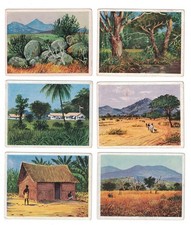 Alte Zigaretten Sammelbilder “Deutsche Kolonien” um 1930