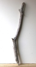 Treibholz Schwemmholz