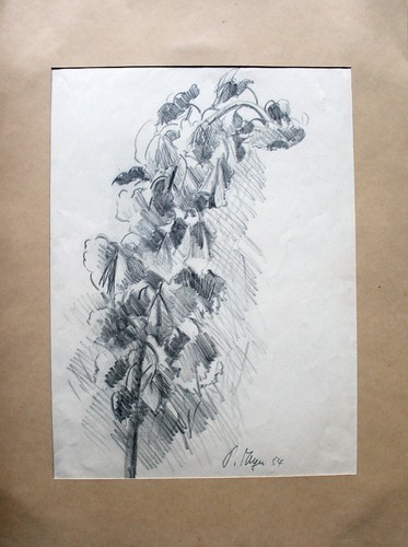 Unbekannter künstler blume - künstler,