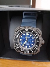 citizen promaster. eco!  NEU