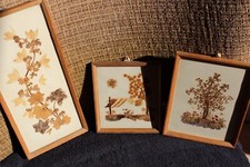 Bild / Collage aus Trockenblumen Konvolut 3 Stück vintage Zipfelhaus Vogel