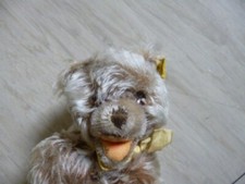 Steiff alter Bär Zotty liegender Teddy mit Knopf  und Fahne