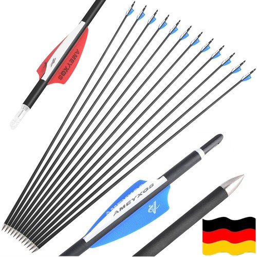 12x carbonpfeile - 12x,