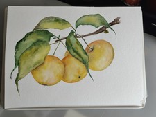 Original Apple Botanical