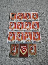 Topps Match Attax 08/09 - FC Energie Cottbus Team Set - 15 Karten - 2008 / 2009
