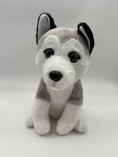 Kuscheltier husky pets hund - kuscheltier,
