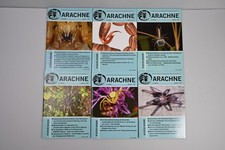 Arachne Jahr 2018 Vogelspinnen