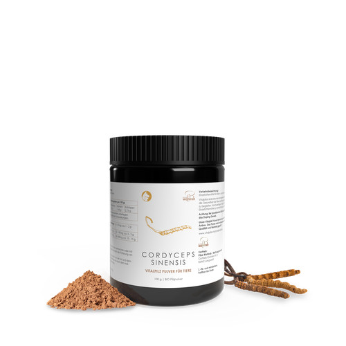 Pilze wohlrab cordyceps - pilze,