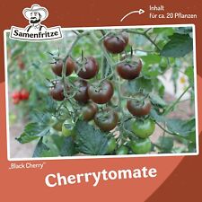 Tomatensamen Black Cherry für ca. 20 Pflanzen - beliebte, aromatische Sorte