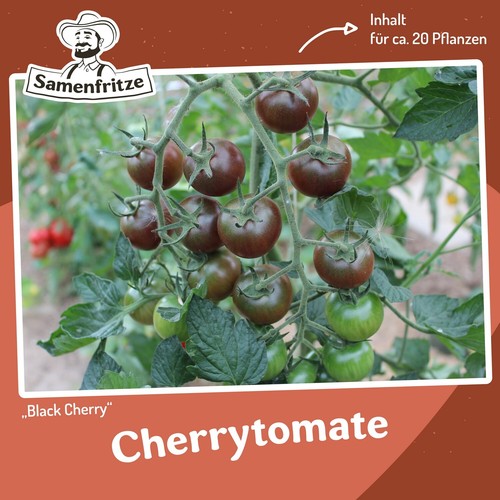 Tomatensamen black cherry für - tomatensamen,