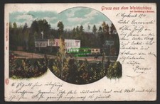 154119 AK Waldschloss bei Goldberg i. Schlesien 1900