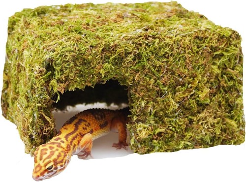 Leoparden-Gecko-Versteckhöhle