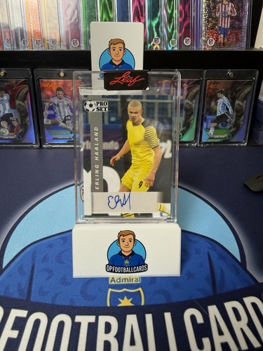 Erling haaland 2022 leaf - haaland, pro