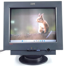 IBM ThinkVision 17" 6737-66N