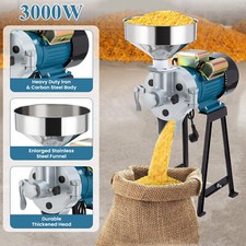 3000W Elektrisch