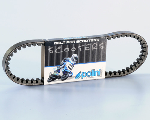 Polini 248 011 antriebsriemen - polini, 248.011