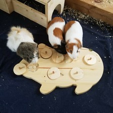  Meerschweinchen Kleintier Intelligenz Spielzeug Beschäftigung Futter 80045