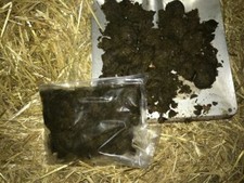 Pferdedung Äpfel Mist