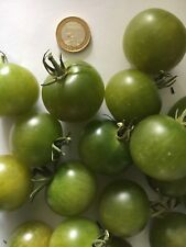 Green Doctors - 10 Bio Samen + Reserven - Ernte 2024