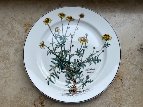 Villeroy boch botanica - &,