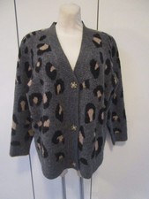 Steffen Schraut dicke