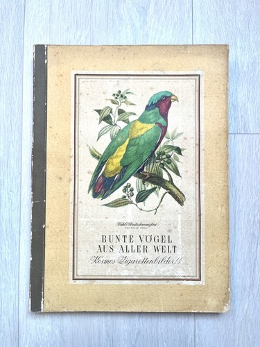 Bunte vögel aus aller welt - bunte,