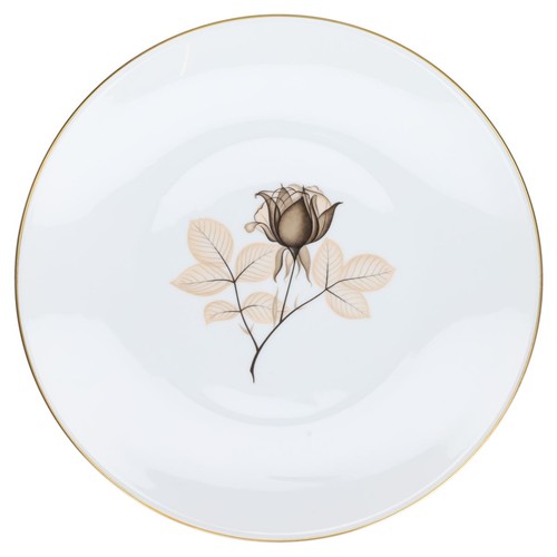 Speiseteller rosenthal form - speiseteller,