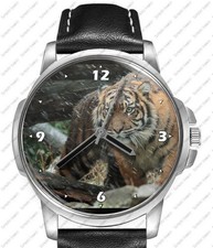 Wild Sumatra Tiger Einzigartig