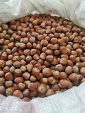 Haselnüsse Schale ab 1 kg -