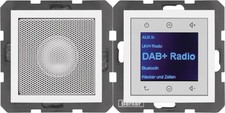 Berker radio unterputz dab - unterputz, dab+