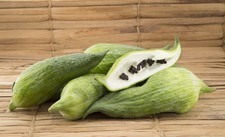 SAMEN INKA-GURKE Inhaltstoffe