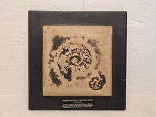 Vintage Fossil-Replikat