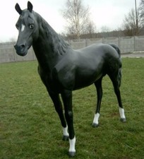 XXL Pferd lebensgross Premium