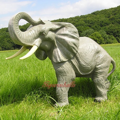 Afrikanischer elefant - afrikanischer,