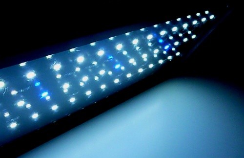 Pondlife classic led aquarium - classic,