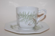 Kaffeetasse 2 tlg.rund Leonardo Sommerfarn Fougere Gallo