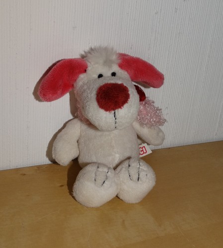 Nici hund love - nici, dog