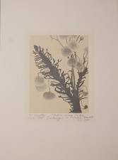 Siegward Sprotte Druckgrafik Lithografie signiert Sträusse meiner Mutter Kunst