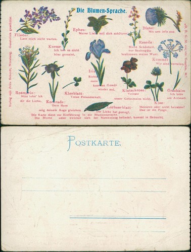 Ansichtskarte botanik blumen - ,