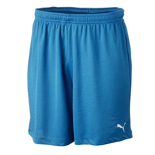 Puma vencida cat - puma, gr