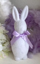 Süßer osterhase hase - süßer,