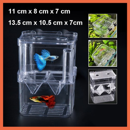 Aquarium fische brutkasten - aquarium,